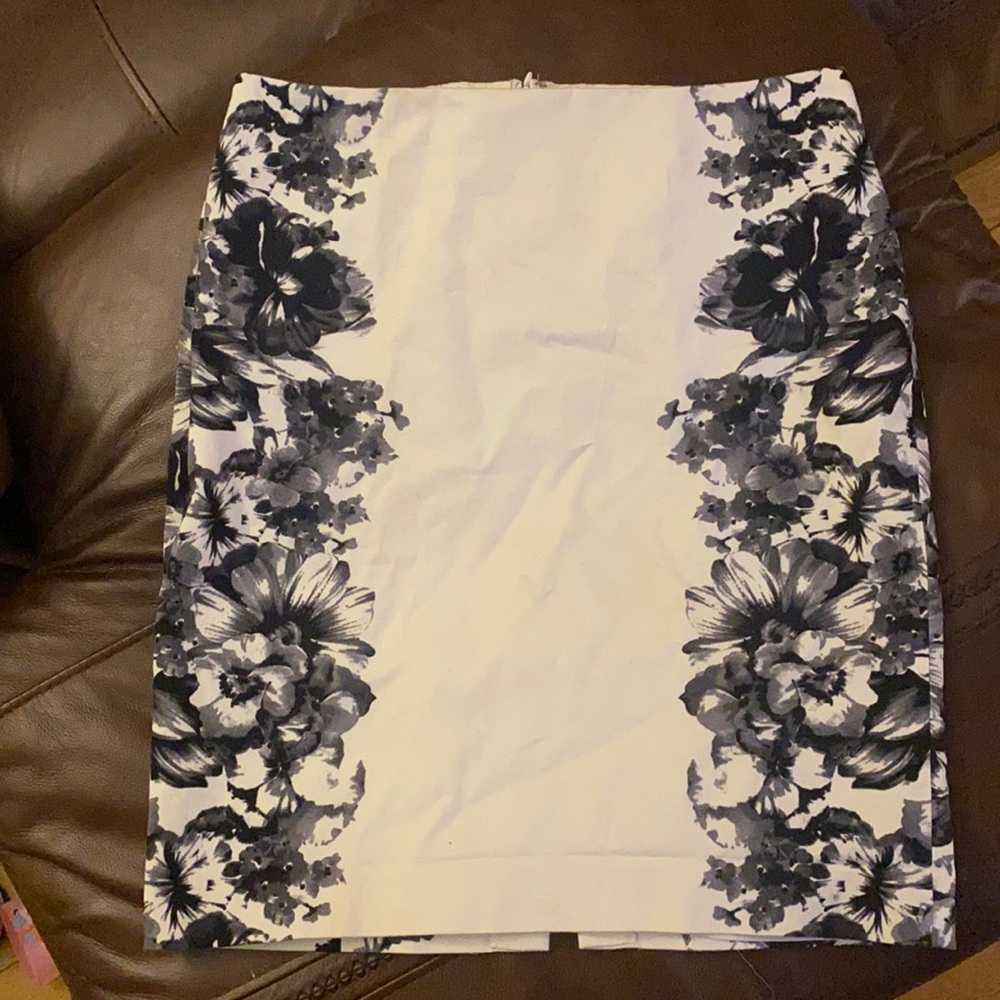 Express skirt